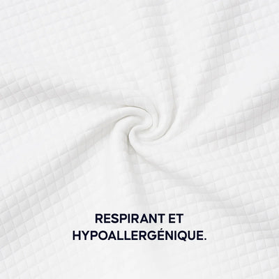 Housse d’Oreiller de Rechange Zenodream